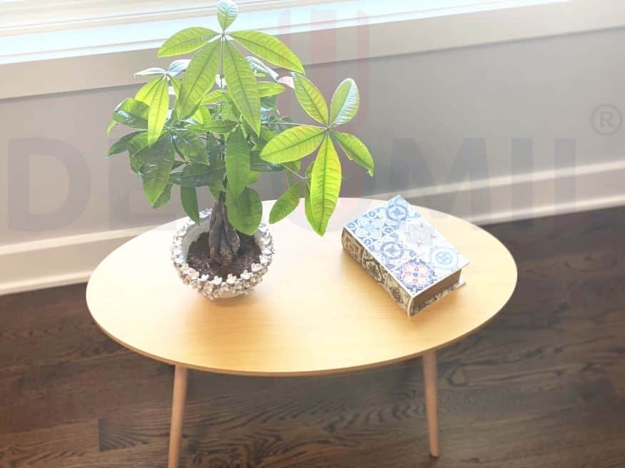 Small Side Table (Oval), Industrial End Table (Walnut-5)
